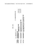 Method for Inhibiting Proliferation of High Lix1I-Expressing Tumor Cell,     and Tumor Cell Proliferation-Inhibiting Peptide diagram and image