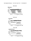 Method for Inhibiting Proliferation of High Lix1I-Expressing Tumor Cell,     and Tumor Cell Proliferation-Inhibiting Peptide diagram and image