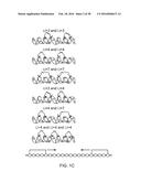 STABILIZED SOS1 PEPTIDES diagram and image