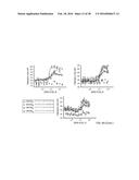 STABILIZED SOS1 PEPTIDES diagram and image