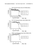 STABILIZED SOS1 PEPTIDES diagram and image