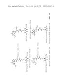 STABILIZED SOS1 PEPTIDES diagram and image