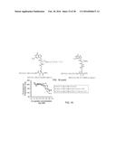 STABILIZED SOS1 PEPTIDES diagram and image