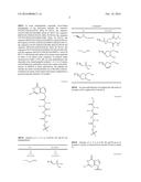 STABILIZED SOS1 PEPTIDES diagram and image