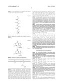 STABILIZED SOS1 PEPTIDES diagram and image