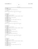 STABILIZED SOS1 PEPTIDES diagram and image