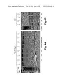 METHODS AND COMPOSITIONS FOR GENE CORRECTION diagram and image