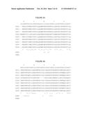 KIR-BINDING AGENTS AND METHODS OF USE THEREOF diagram and image