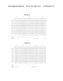 KIR-BINDING AGENTS AND METHODS OF USE THEREOF diagram and image