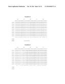 KIR-BINDING AGENTS AND METHODS OF USE THEREOF diagram and image