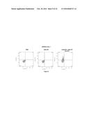 ANTI-KIR3D ANTIBODIES diagram and image