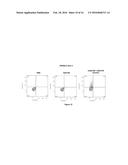 ANTI-KIR3D ANTIBODIES diagram and image