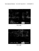 Systems and Processes for Catalytic Pyrolysis of Biomass and     Hydrocarbonaceous Materials for Production of Aromatics with Optional     Olefin Recycle, and Catalysts Having Selected Particle Size for Catalytic     Pyrolysis diagram and image