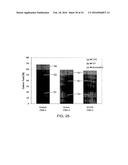 Systems and Processes for Catalytic Pyrolysis of Biomass and     Hydrocarbonaceous Materials for Production of Aromatics with Optional     Olefin Recycle, and Catalysts Having Selected Particle Size for Catalytic     Pyrolysis diagram and image