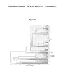 Endophytes and related methods diagram and image