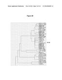 Endophytes and related methods diagram and image