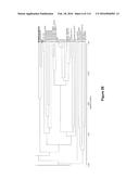 Endophytes and related methods diagram and image