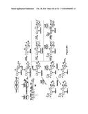 Endophytes and related methods diagram and image