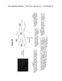 Endophytes and related methods diagram and image