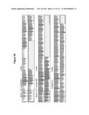 Endophytes and related methods diagram and image