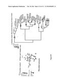 Endophytes and related methods diagram and image