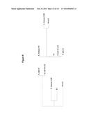 Endophytes and related methods diagram and image