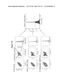 Endophytes and related methods diagram and image