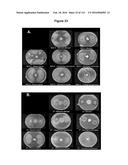 Endophytes and related methods diagram and image