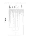 Endophytes and related methods diagram and image