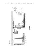 Endophytes and related methods diagram and image