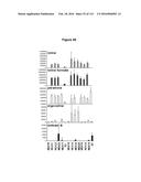 Endophytes and related methods diagram and image