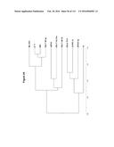 Endophytes and related methods diagram and image