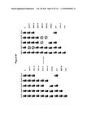 Endophytes and related methods diagram and image