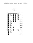 Endophytes and related methods diagram and image