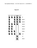 Endophytes and related methods diagram and image