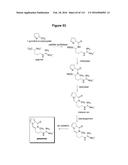 Endophytes and related methods diagram and image