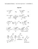 Endophytes and related methods diagram and image