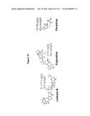 Endophytes and related methods diagram and image