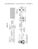 Endophytes and related methods diagram and image