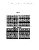 Endophytes and related methods diagram and image