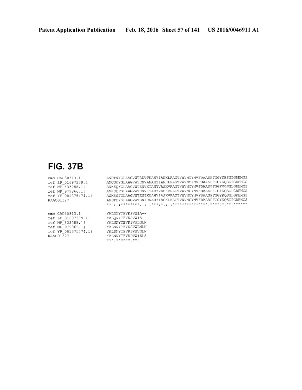 THERMOPHILIC AND THERMOACIDOPHILIC METABOLISM GENES AND ENZYMES FROM     ALICYCLOBACILLUS ACIDOCALDARIUS AND RELATED ORGANISMS, METHODS - diagram, schematic, and image 58