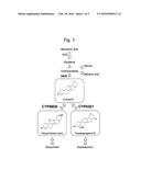 GLUCURONOSYLTRANSFERASE, GENE ENCODING SAME AND USE THEREOF diagram and image