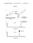 GLUCURONOSYLTRANSFERASE, GENE ENCODING SAME AND USE THEREOF diagram and image