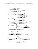 METHODS OF SEQUENCING NUCLEIC ACIDS IN MIXTURES AND COMPOSITIONS RELATED     THERETO diagram and image