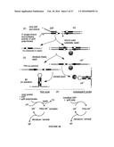 METHODS OF SEQUENCING NUCLEIC ACIDS IN MIXTURES AND COMPOSITIONS RELATED     THERETO diagram and image