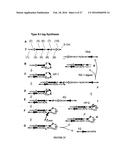 METHODS OF SEQUENCING NUCLEIC ACIDS IN MIXTURES AND COMPOSITIONS RELATED     THERETO diagram and image