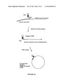 METHODS OF SEQUENCING NUCLEIC ACIDS IN MIXTURES AND COMPOSITIONS RELATED     THERETO diagram and image