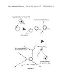 METHODS OF SEQUENCING NUCLEIC ACIDS IN MIXTURES AND COMPOSITIONS RELATED     THERETO diagram and image