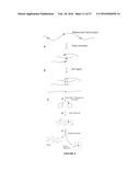 METHODS OF SEQUENCING NUCLEIC ACIDS IN MIXTURES AND COMPOSITIONS RELATED     THERETO diagram and image