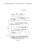 METHODS OF SEQUENCING NUCLEIC ACIDS IN MIXTURES AND COMPOSITIONS RELATED     THERETO diagram and image